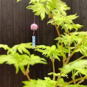 桃夭庵 Touyouan Momo House Kujo 一棟貸切 Holiday home